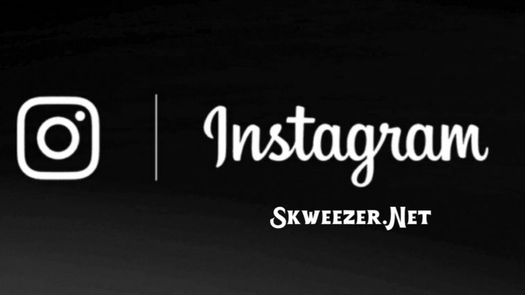 Skweezer पर बिना Login के मिलेंगे Instagram पर Followers